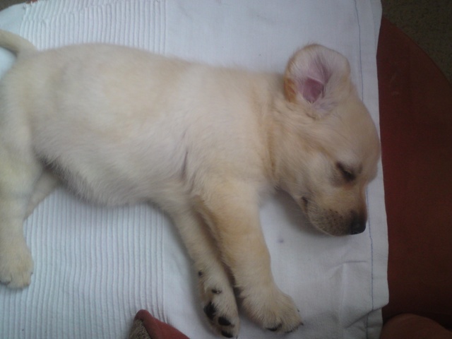 Nelly